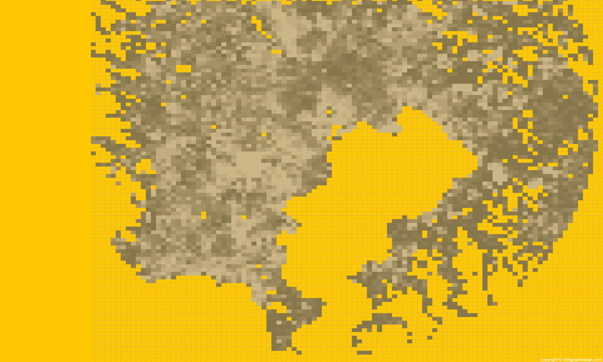 mainImage-202-inFront